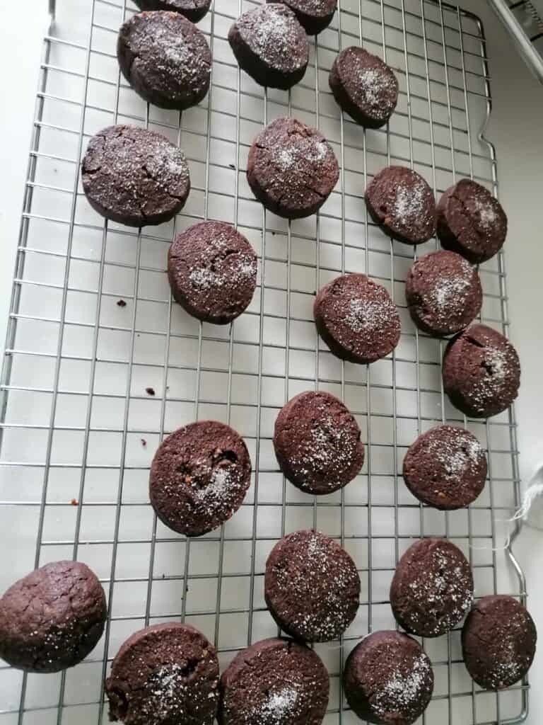 biscoitos de chocolate